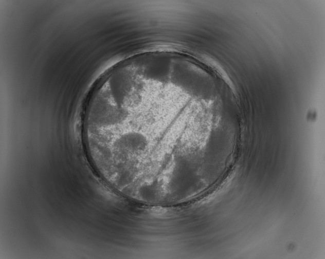 X0000102490827200809051320