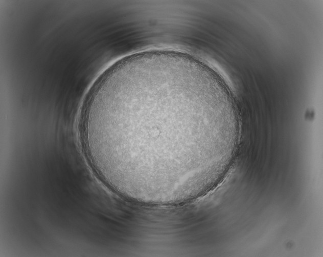 X0000102490828200809051320