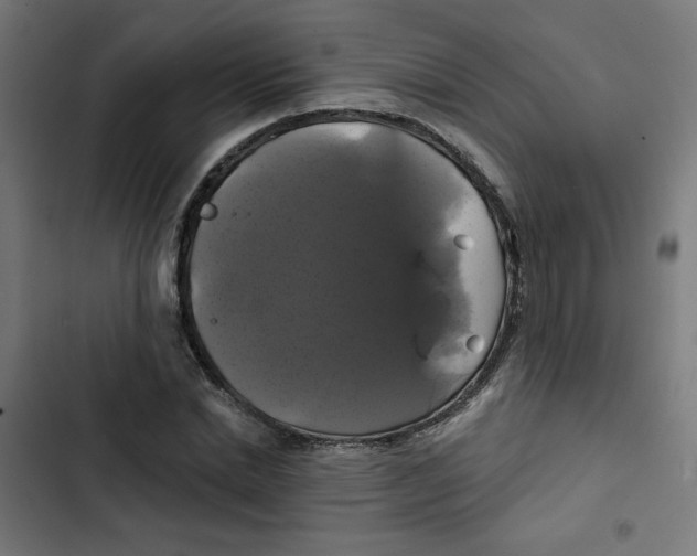 X0000102490830200809051320