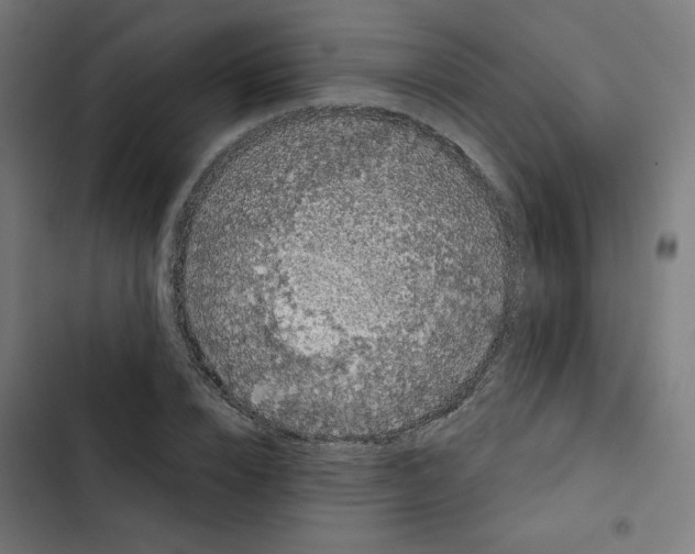 X0000102490832200809051320