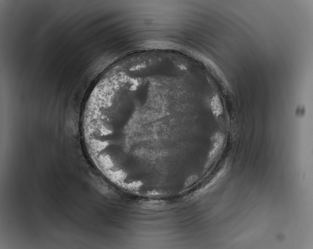 X0000102490833200809051320