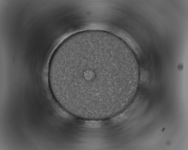 X0000102490836200809051320