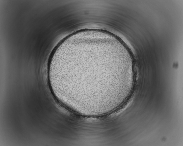 X0000102490837200809051320