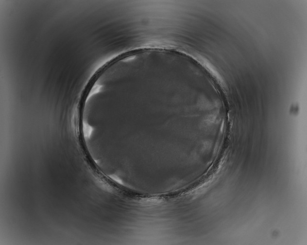 X0000102490838200809051320