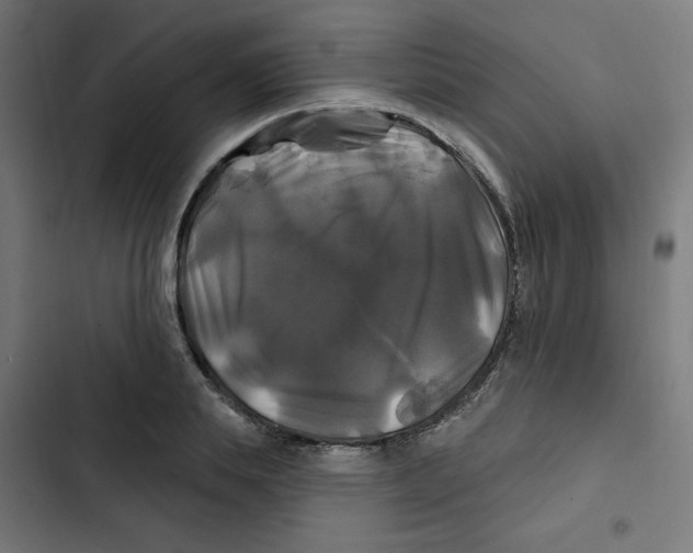 X0000102490839200809051320