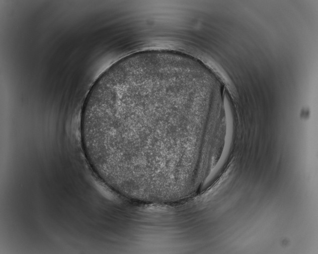 X0000102490842200809051320