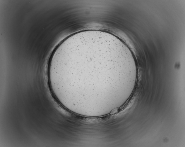 X0000102490843200809051320