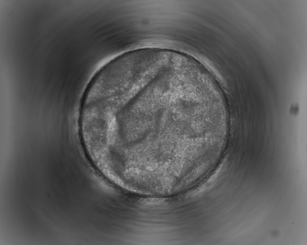 X0000102490846200809051320