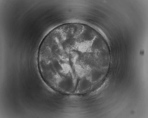 X0000102490847200809051320