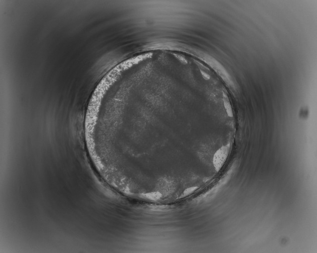 X0000102490849200809051320