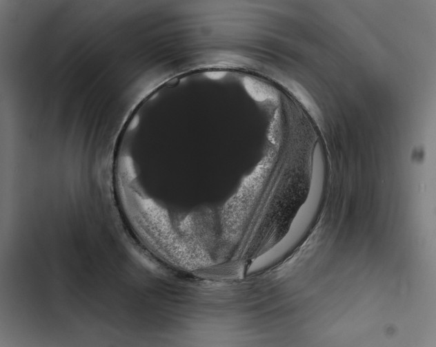 X0000102490850200809051320