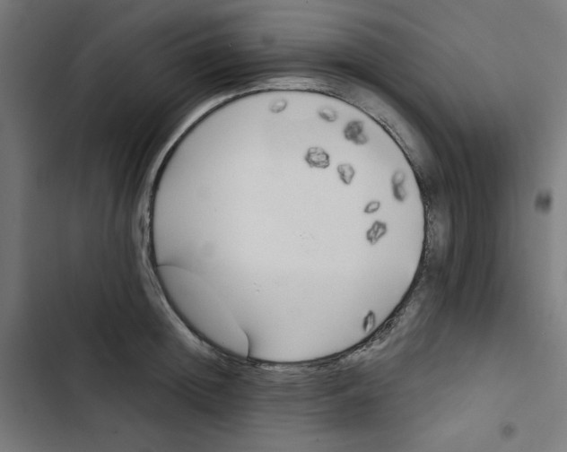 X0000102490852200809051320