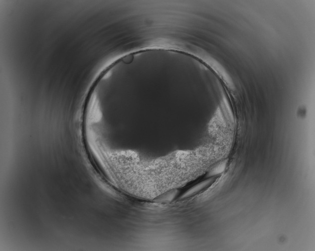 X0000102490854200809051320