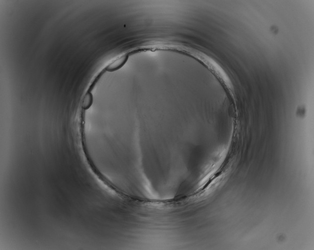 X0000102490855200809051320