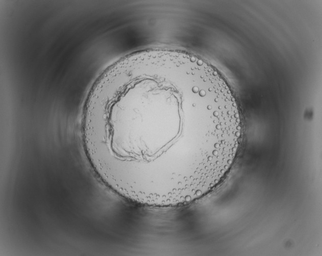 X0000102490856200809051320