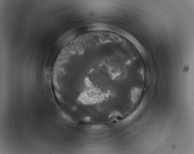 X0000102490857200809051321