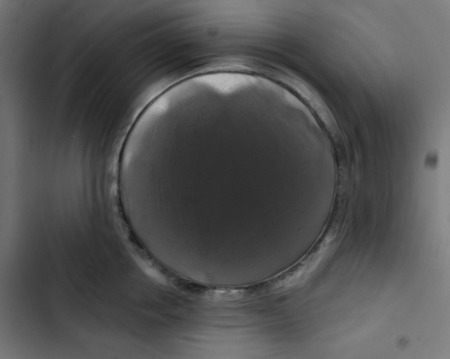 X0000102490858200809051321