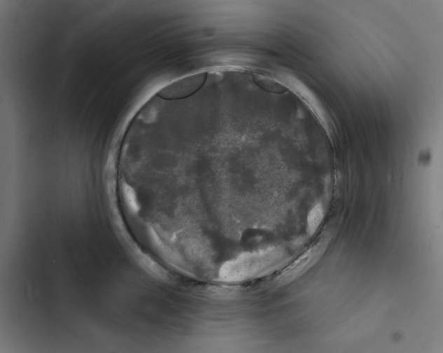 X0000102490859200809051321