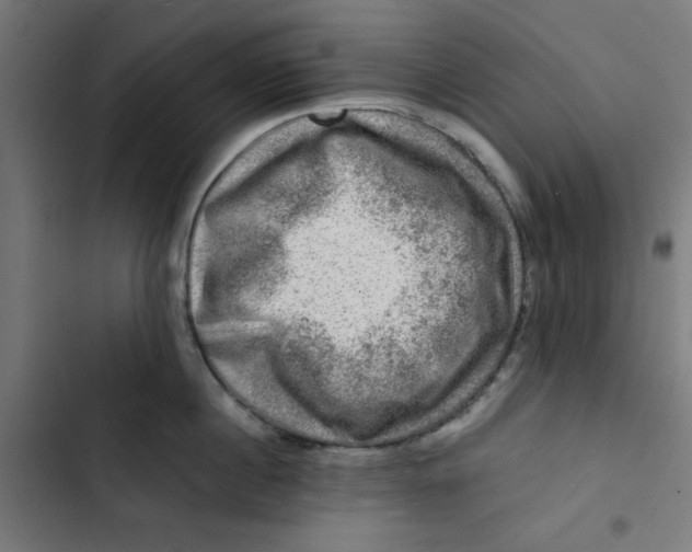 X0000102490860200809051321