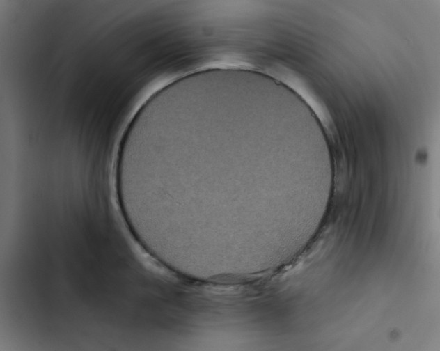 X0000102490861200809051321