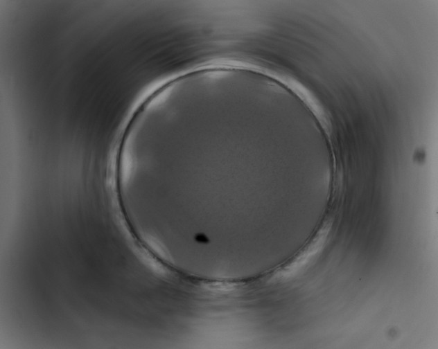 X0000102490862200809051321