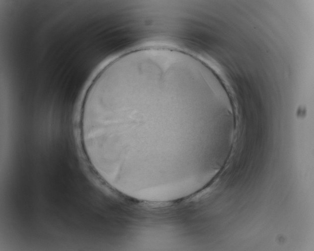 X0000102490864200809051321