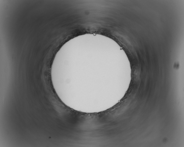 X0000102490865200809051320