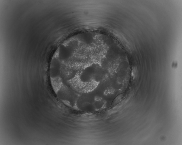 X0000102490867200809051320