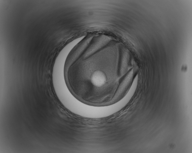 X0000102490868200809051320