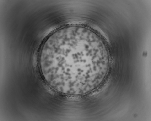 X0000102490874200809051320