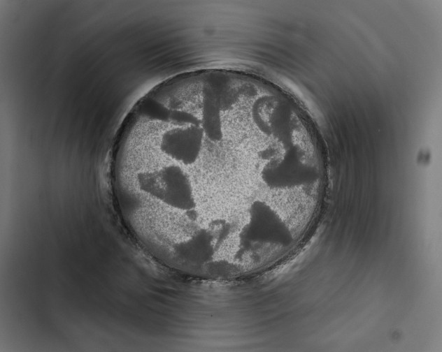 X0000102490875200809051320