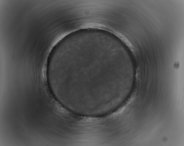 X0000102490877200809051320