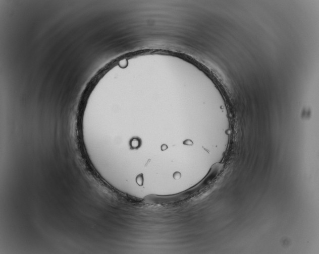 X0000102490880200809051320