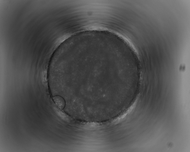 X0000102490881200809051320