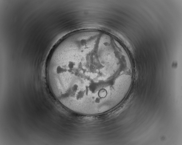 X0000102490883200809051320