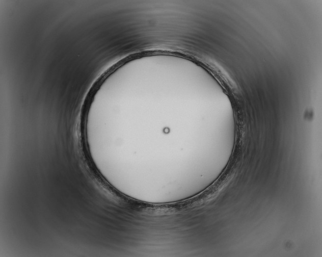 X0000102490884200809051320