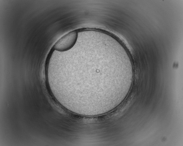 X0000102490887200809051319