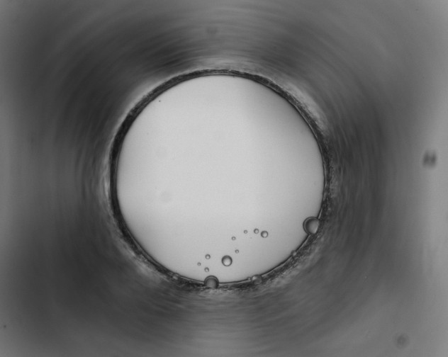 X0000102490888200809051319