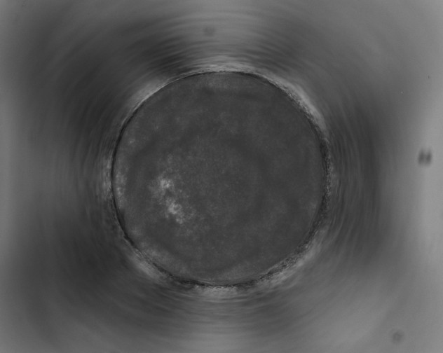 X0000102490889200809051319