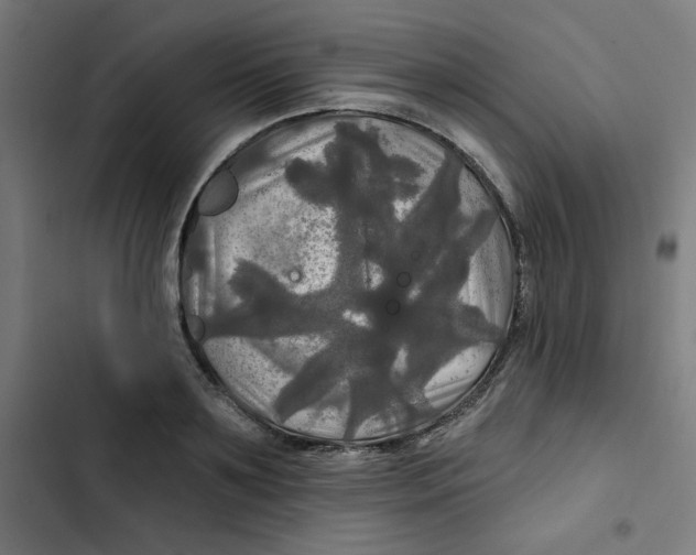 X0000102490891200809051319