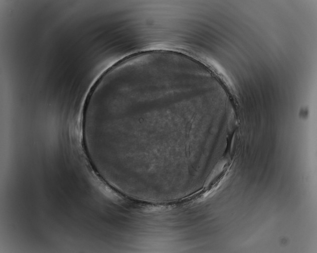 X0000102490892200809051319