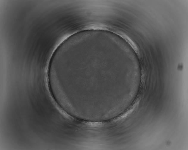 X0000102490893200809051319