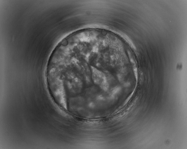 X0000102490895200809051319