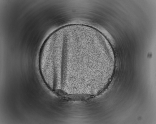 X0000102490896200809051319