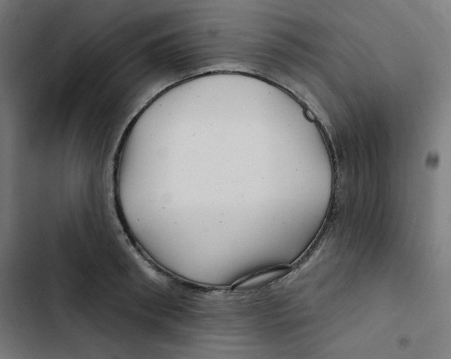 X0000102490898200809051319