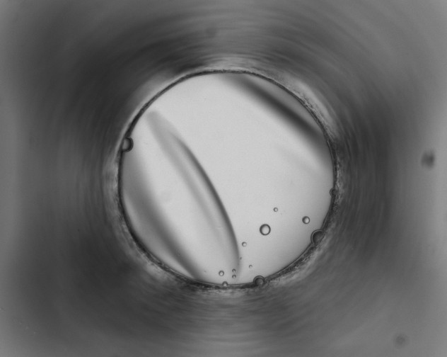 X0000102490900200809051319