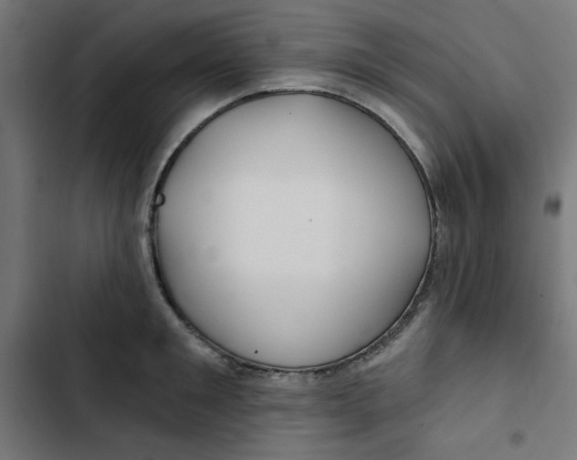 X0000102490901200809051319