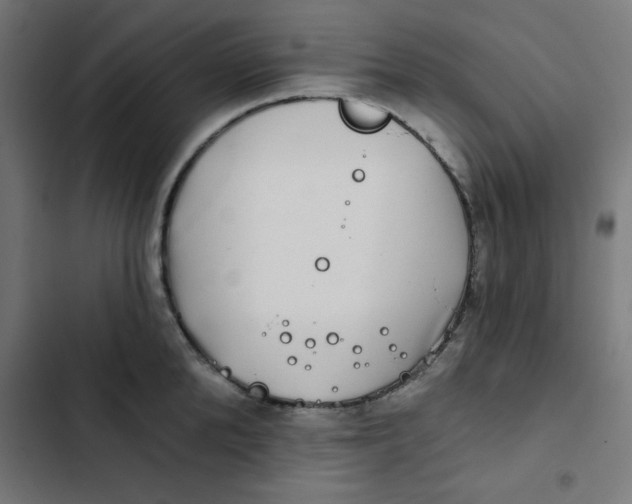 X0000102490904200809051319