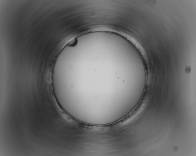 X0000102490905200809051319