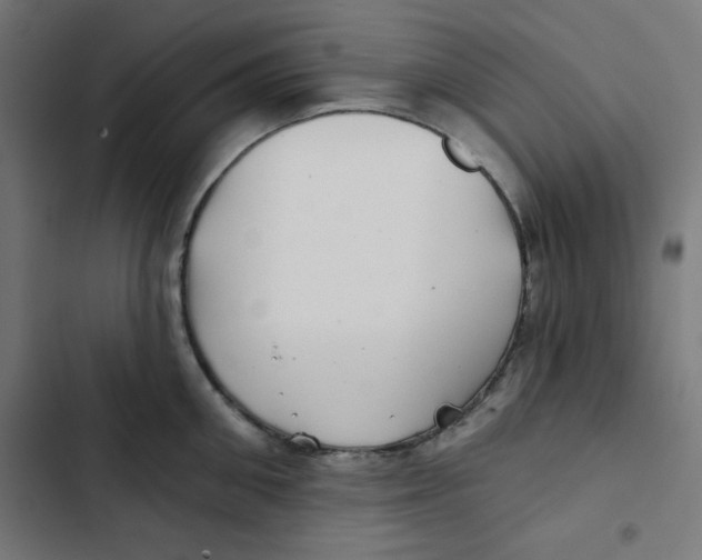 X0000102490906200809051319